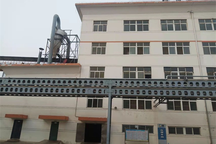 费县中粮油脂工业有限公司某车间检测工程