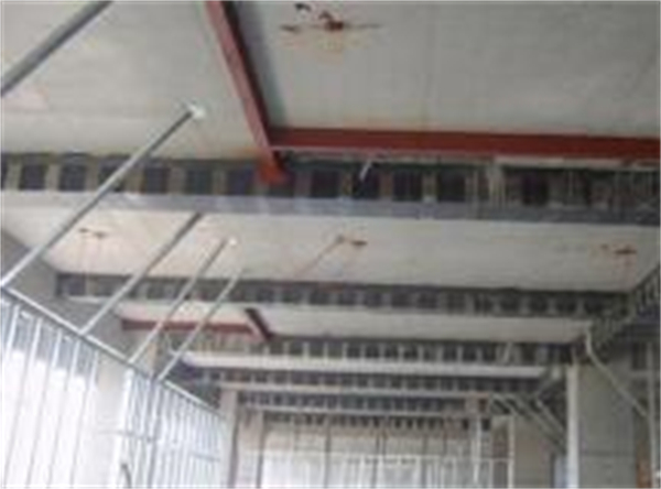 1776074071839887.jpg 48.jpg